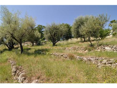 Land for sale in Tourrettes-sur-Loup (Provence-Alpes-Cote d'Azur)