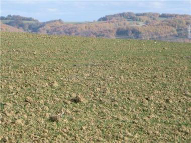 Land for sale in Lansac (Midi-Pyrenees)