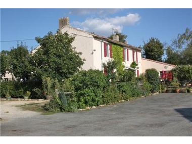 Equestrian for sale in Vasles (Poitou-Charentes)