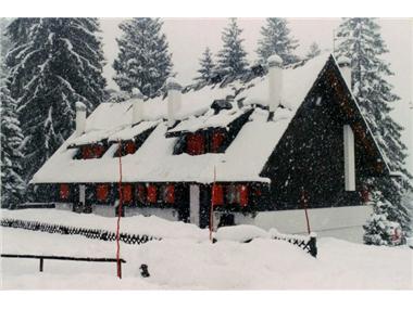 House/villa for sale in Belluno (Veneto)
