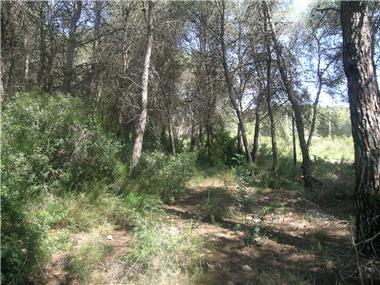 Plot for sale in Javea (Valencia)