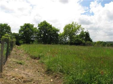 Land for sale in Aubarede (Midi-Pyrenees)