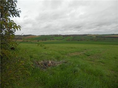 Land for sale in Fregouville (Midi-Pyrenees)