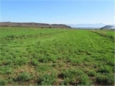 Land for sale in Ladismith (Province of the Western Cape)