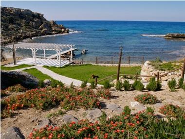 Villa for sale in Akanthou (Famagusta)