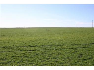 Plot for sale in Eymet (Aquitaine)