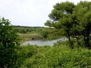 Miscellaneous for sale in Es Mercadal (Balearic Islands)