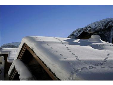House/villa for sale in Les Gets (Rhone-Alpes)