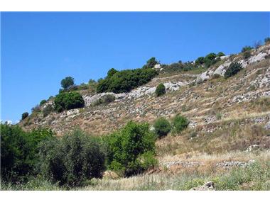 House/villa for sale in Letimbou (Paphos)