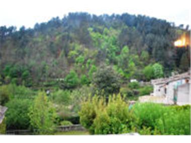 House for sale in Barre-des-Cevennes (Languedoc-Roussillon)