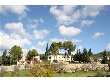 Miscellaneous for sale in Calvia (Balearic Islands)