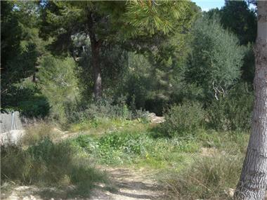 Plot Of Land for sale in Santa Ponca (Balearic Islands)