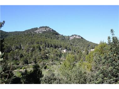 Miscellaneous for sale in Andratx (Balearic Islands)