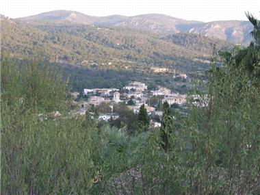 Miscellaneous for sale in es Capdella (Balearic Islands)