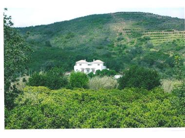 House/villa for sale in Tavira (Faro)