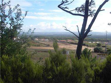 Land for sale in Caldas da Rainha (Leiria)