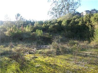 Land for sale in Obidos (Leiria)