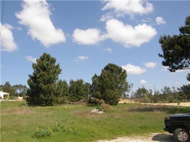 Land for sale in Bombarral (Leiria)