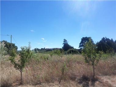 House/villa for sale in Bombarral (Leiria)