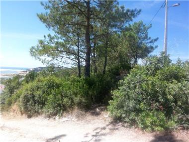 Land for sale in Caldas da Rainha (Leiria)