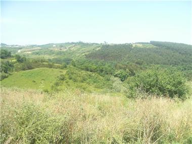 House/villa for sale in Obidos (Leiria)