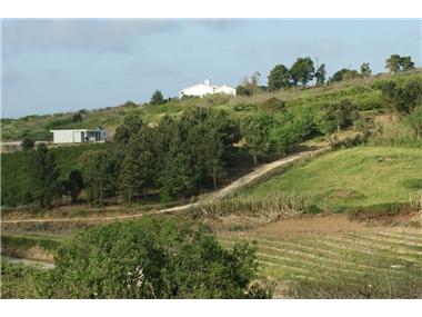 Land for sale in Obidos (Leiria)