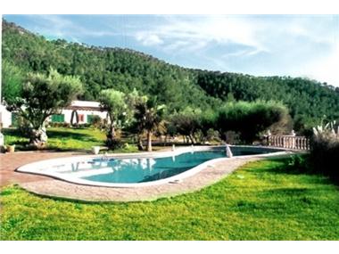 Miscellaneous for sale in Calvia (Balearic Islands)