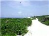 Land/Ruins for sale in Long Island (Long Island)