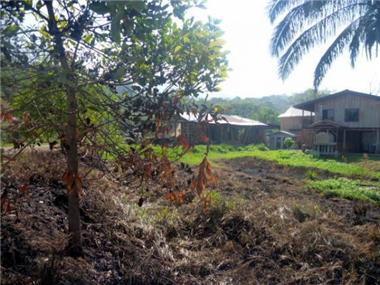 Land for sale in Uvita (Puntarenas)