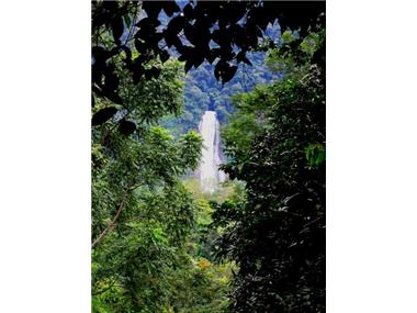 Land for sale in Dominical (Puntarenas)