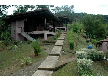 Commercial for sale in Uvita (Puntarenas)