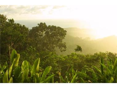 House/villa for sale in Dominical (Puntarenas)