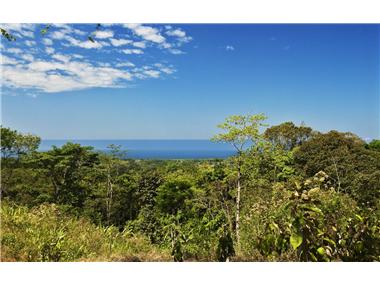 Flat/apartment for sale in Matapalo (Puntarenas)