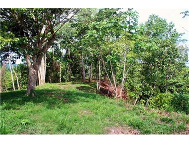 Land for sale in Sierpe (Puntarenas)
