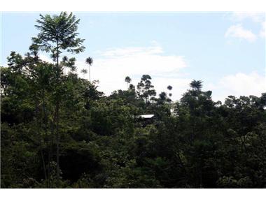 House/villa for sale in Sierpe (Puntarenas)