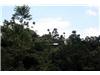 House/Villa for sale in Sierpe (Puntarenas)