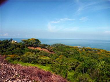 Land for sale in Dominical (Puntarenas)