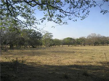 House/Villa for sale in Huacas (Guanacaste)