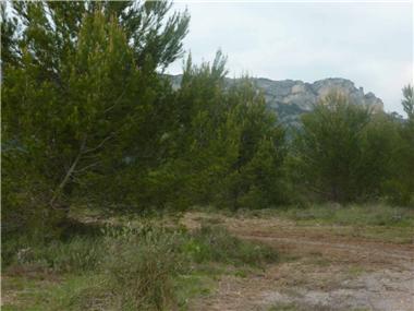 Land for sale in Merindol (Provence-Alpes-Cote d'Azur)