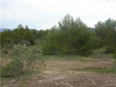 Land for sale in Merindol (Provence-Alpes-Cote d'Azur)