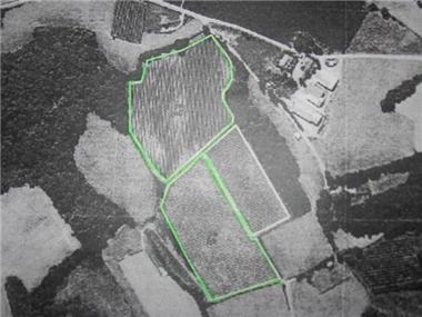 Land for sale in Semeacq-Blachon (Aquitaine)