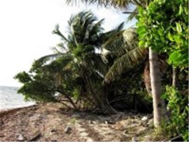 House/Villa for sale in Tulum (Quintana Roo)