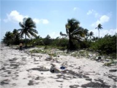 House/Villa for sale in Majahual (Sinaloa)