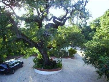 House/villa for sale in Leiria (Leiria)