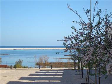 Apartment/Flat for sale in Fuzeta (Faro)
