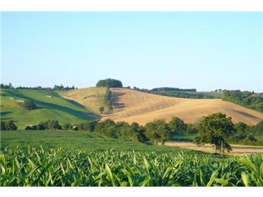 Barn_conversion for sale in Peyrusse-Vieille (Midi-Pyrenees)