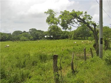 Land for sale in Potrero (Guanacaste)