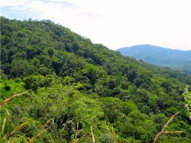 Land for sale in Potrero (Guanacaste)