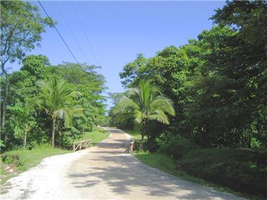 Land for sale in Brasilito (Guanacaste)