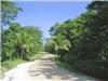 Land/Ruins for sale in Brasilito (Guanacaste)